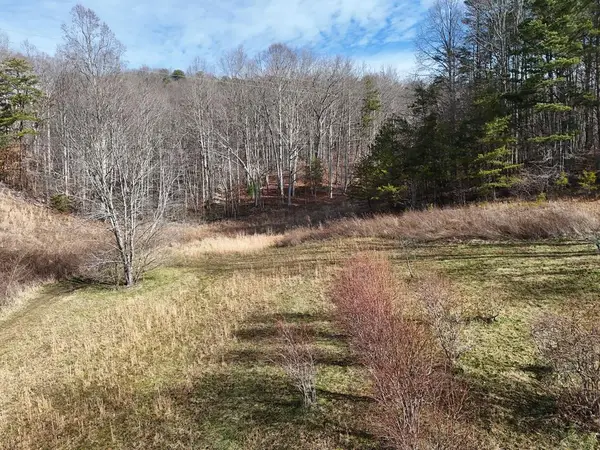 Lot 1 Jordan Road, Blairsville, GA 30512