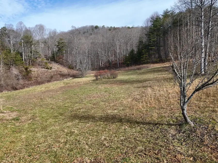 Lot 2 Jordan Road, Blairsville, GA 30512 - #3