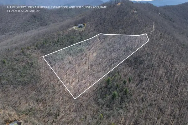 13.99 AC Caesar Gap Road, Hiawassee, GA 30546