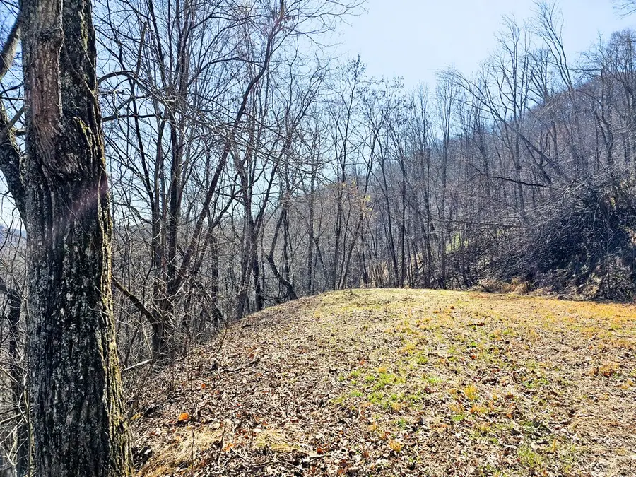 Lot 39 Merlin Trail/warbler Road, Murphy, NC 28906 - #2