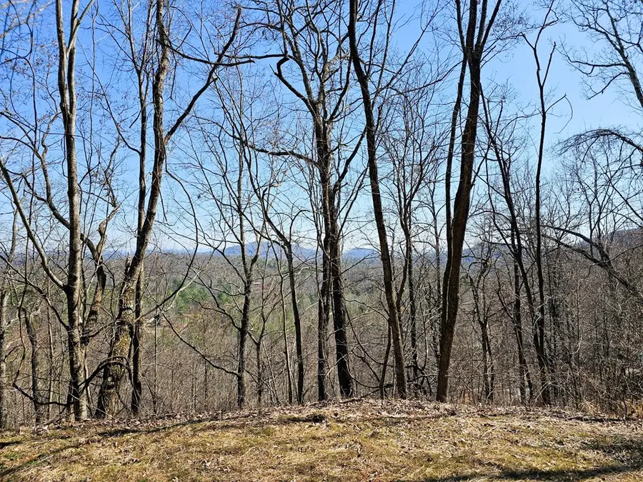 Lot 39 Merlin Trail/warbler Road, Murphy, NC 28906 - #3