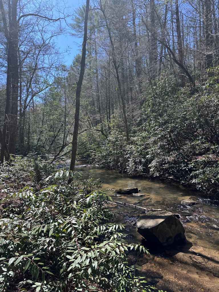 00 Virginia Lane, Murphy, NC 28906 - #2