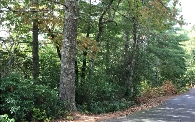 lot 18 Shelton Springs Drive, Hayesville, NC 28904 - #2
