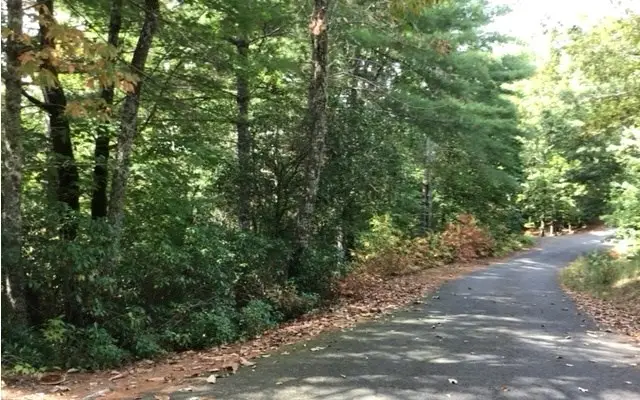 lot 18 Shelton Springs Drive, Hayesville, NC 28904 - #3