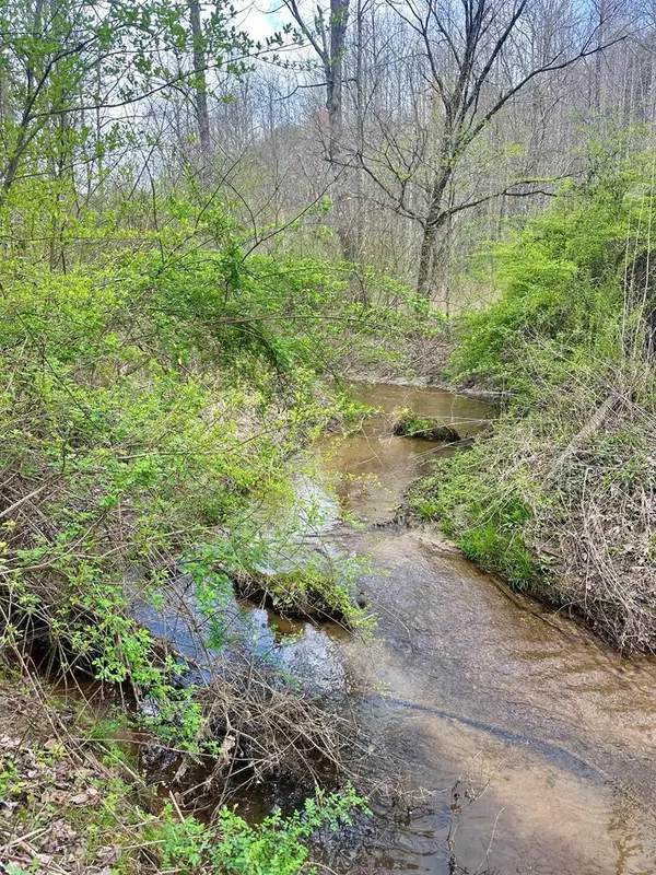 Lot 1 S Blue Horizon Drive, Blue Ridge, GA 30513