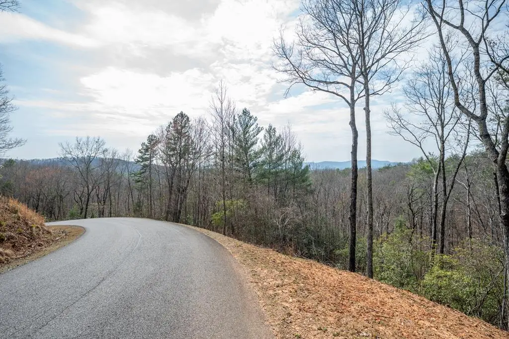 Lot 8 Oceola Drive, Ellijay, GA 30540 - #1