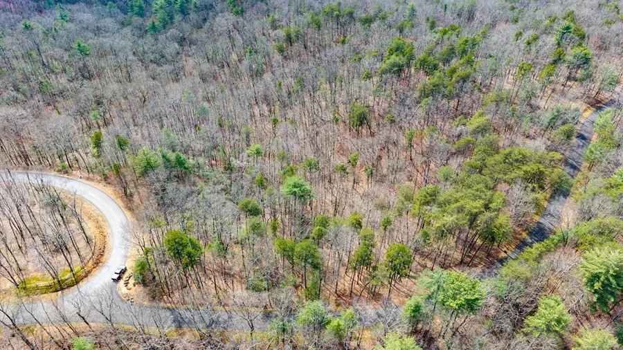 Lot 8 Oceola Drive, Ellijay, GA 30540 - #3