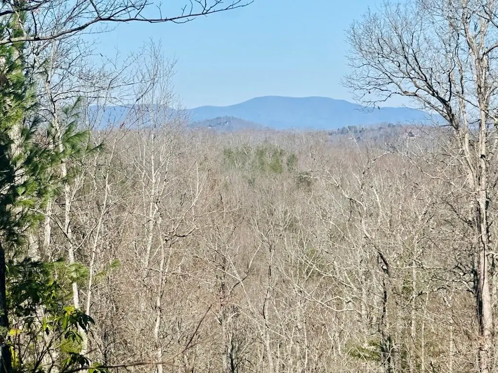 Lot 6 Blue Horizon Drive, Blue Ridge, GA 30513 - #1