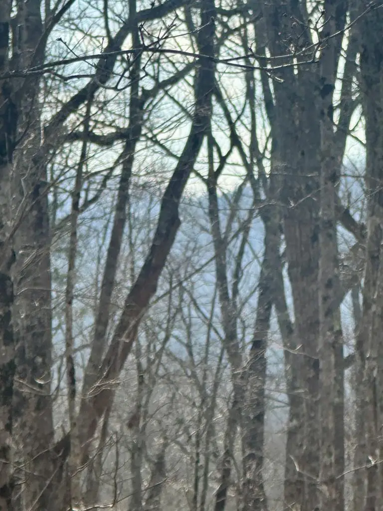 Lot 22 Blue Horizon Drive, Blue Ridge, GA 30513 - #1