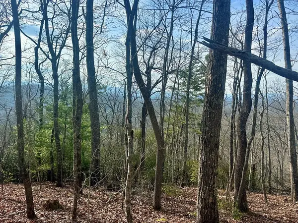 Lot 31 Blue Horizon Drive, Blue Ridge, GA 30513