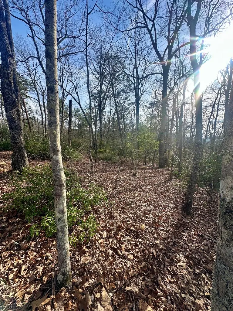 Lot 31 Blue Horizon Drive, Blue Ridge, GA 30513 - #3