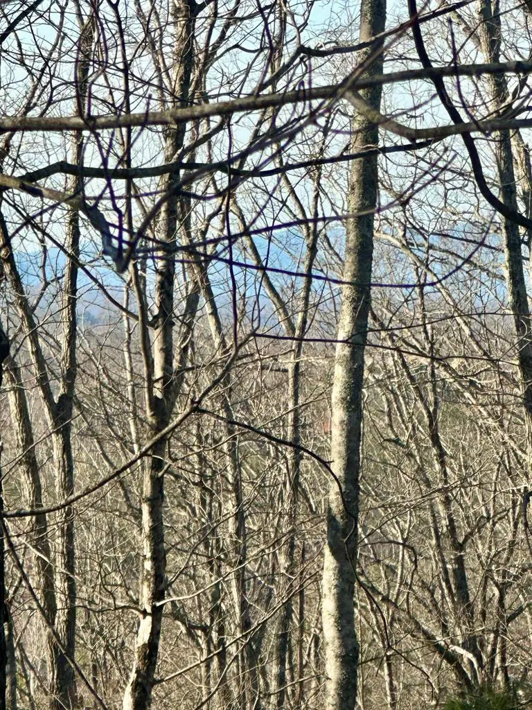 Lot 32 Blue Horizon Drive, Blue Ridge, GA 30513 - #1