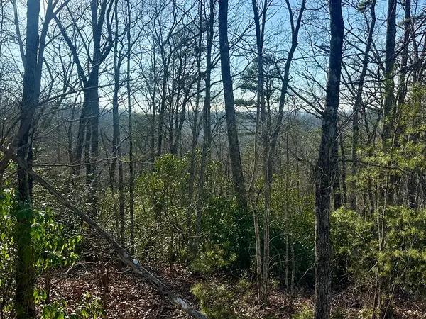 Lot 34 Blue Horizon Drive, Blue Ridge, GA 30513