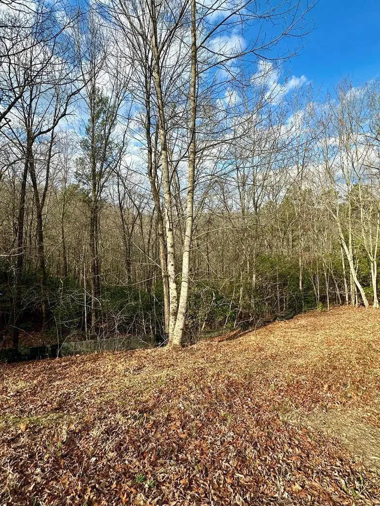 Lot 36 Blue Horizon Drive, Blue Ridge, GA 30513 - #1