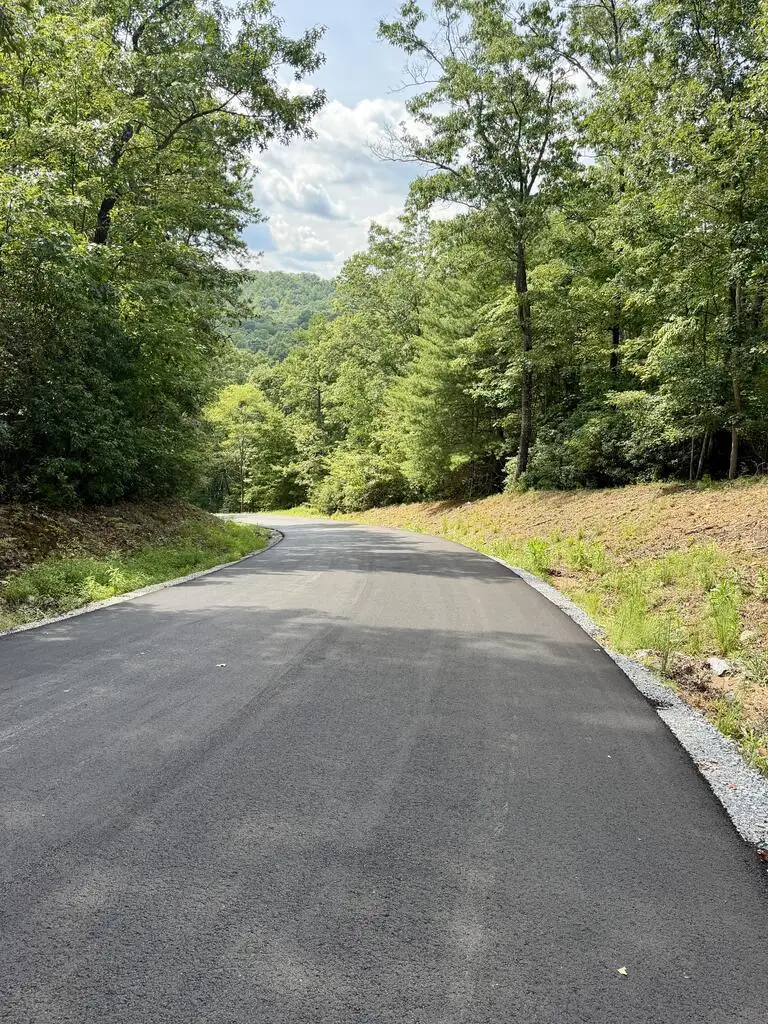 Lot 36 Blue Horizon Drive, Blue Ridge, GA 30513 - #2