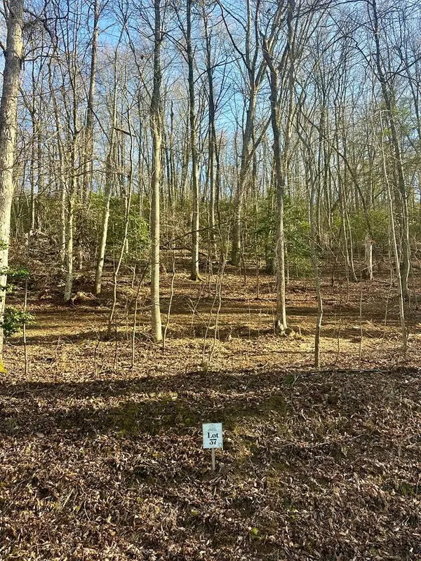 Lot 37 Blue Horizon Drive, Blue Ridge, GA 30513