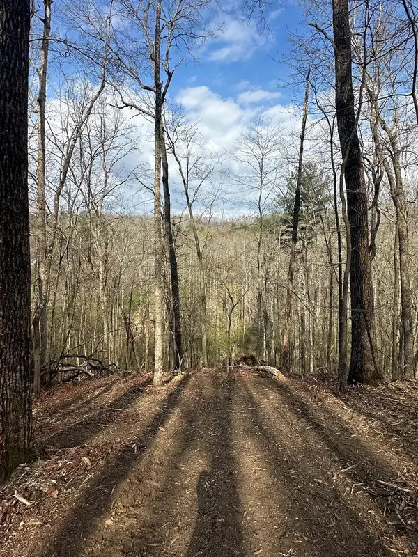 Lot 38 Blue Horizon Drive, Blue Ridge, GA 30513