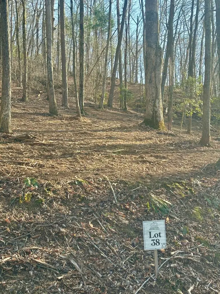 Lot 38 Blue Horizon Drive, Blue Ridge, GA 30513 - #3