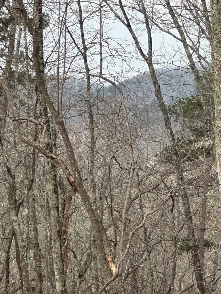 Lot 25 Prospect Ridge, Blue Ridge, GA 30513 - #1