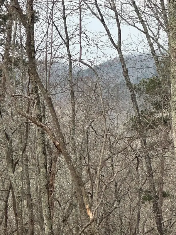 Lot 25 Prospect Ridge, Blue Ridge, GA 30513