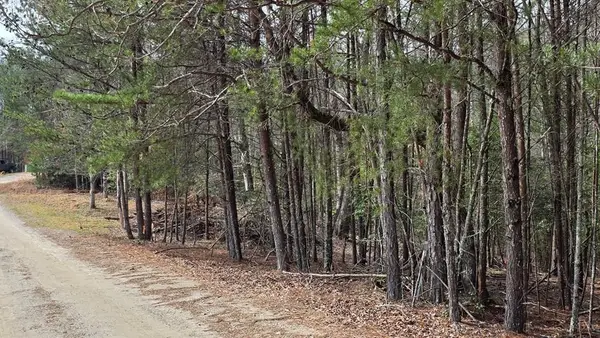 Lot 25 Pine Log Circle, Warne, NC 28909