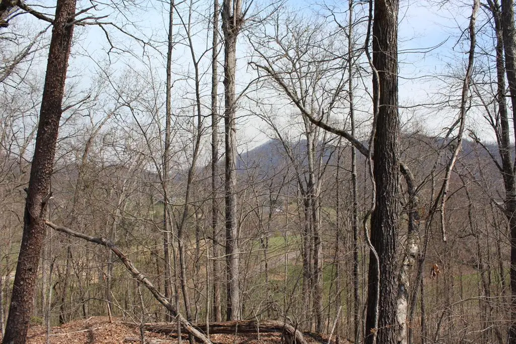 Lot 83A Licklog Ridge, Hayesville, NC 28904 - #1