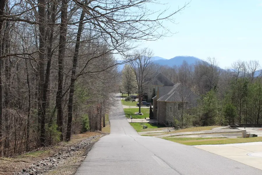 Lot 83A Licklog Ridge, Hayesville, NC 28904 - #3