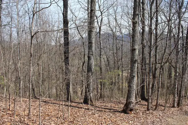 Lot 87A Licklog Ridge, Hayesville, NC 28904