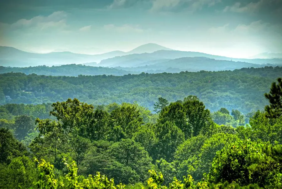 222 Mountain Hideaway Lane, Blue Ridge, GA 30513 - #3