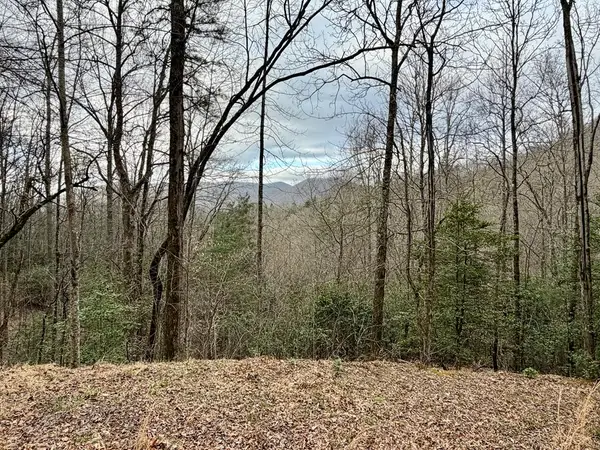Lot 13 The Highlands, Hiawassee, GA 30546