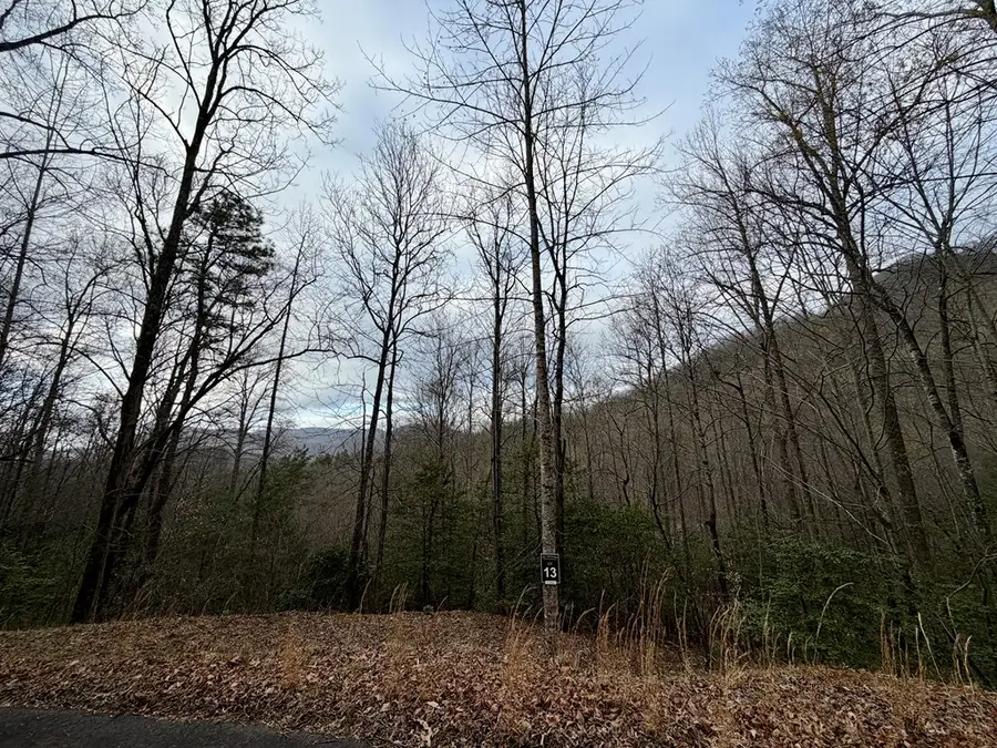 Lot 13 The Highlands, Hiawassee, GA 30546 - #2
