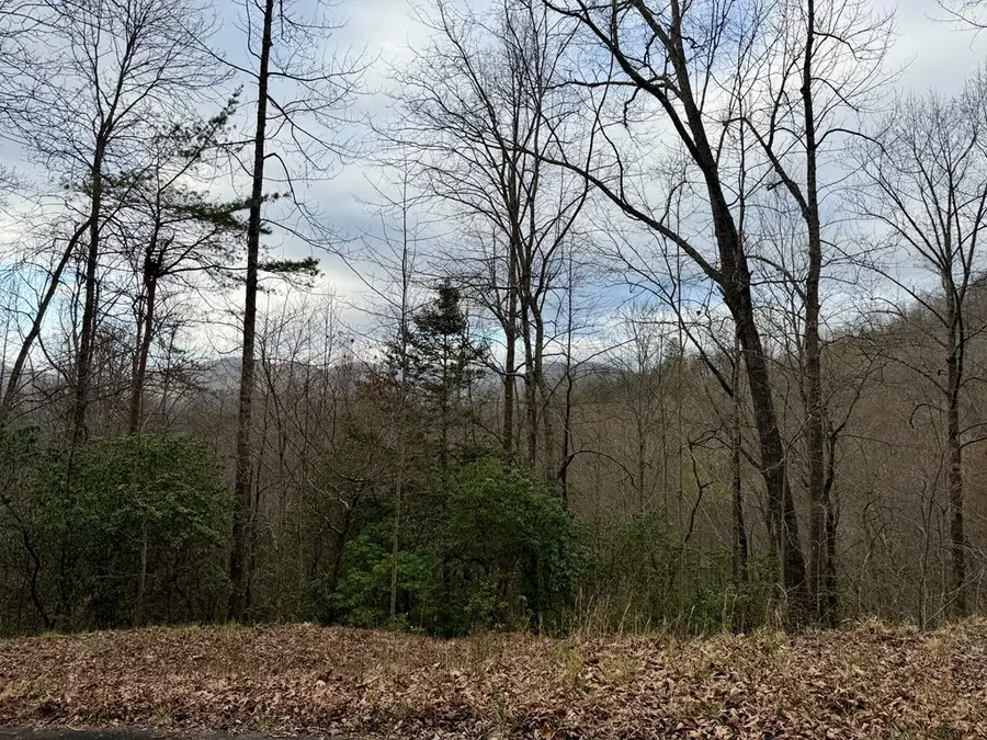 Lot 14 The Highlands, Hiawassee, GA 30546 - #3
