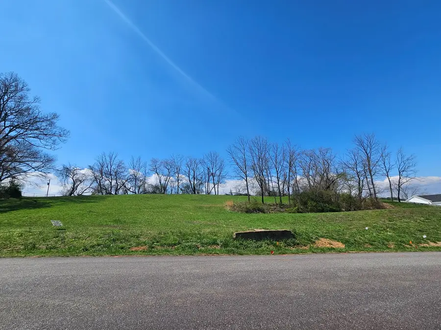 0 Mcglamery Farm Drive, Hayesville, NC 28904 - #2