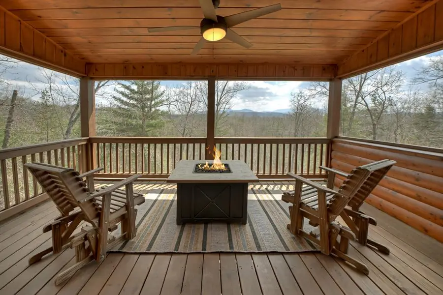 109 Chestnut Hills Lane, Blue Ridge, GA 30513 - #3