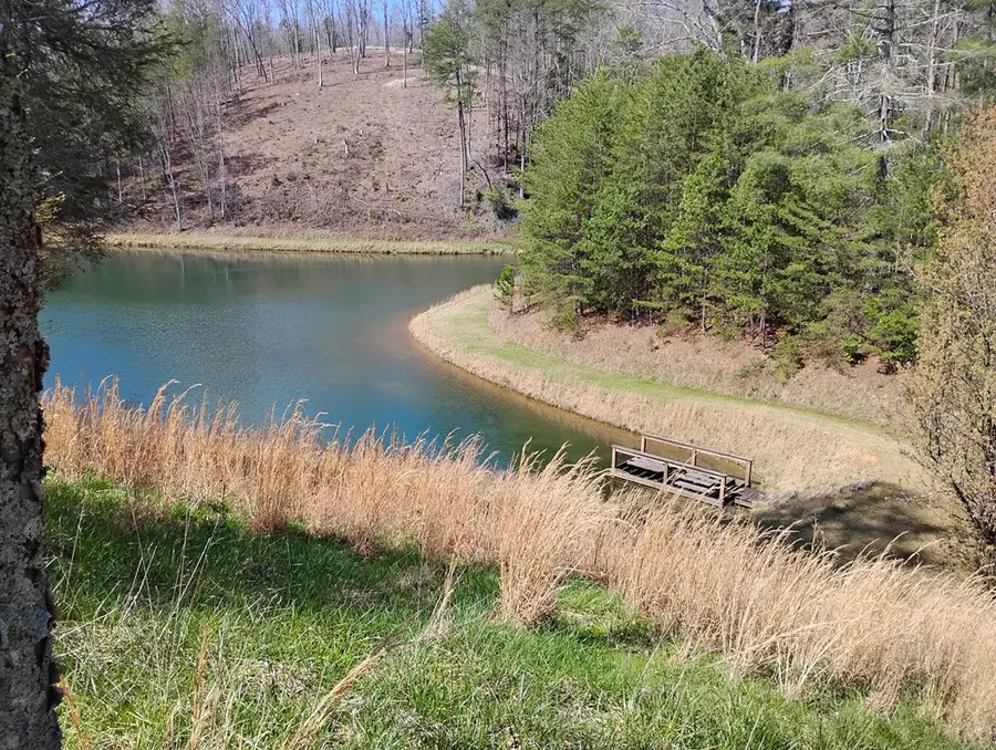 1539 Chopped Oak Road, Ellijay, GA 30540 - #3