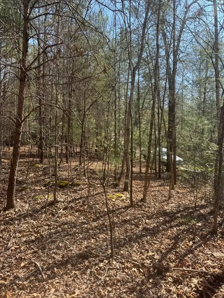 00 Blue Ridge Heights Drive, Hayesville, NC 28904 - #2