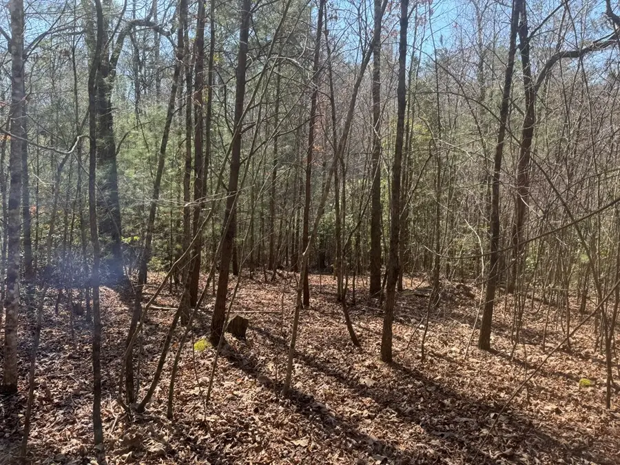 00 Blue Ridge Heights Drive, Hayesville, NC 28904 - #3