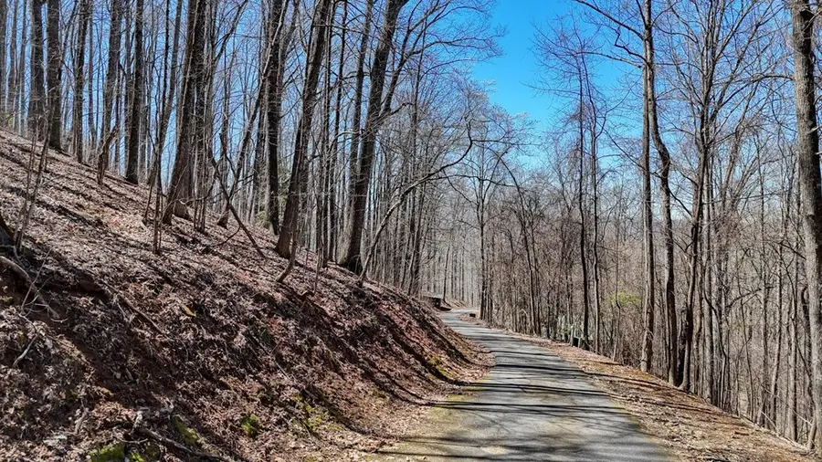 Lot 100 Timberline Acres, Young Harris, GA 30582 - #2
