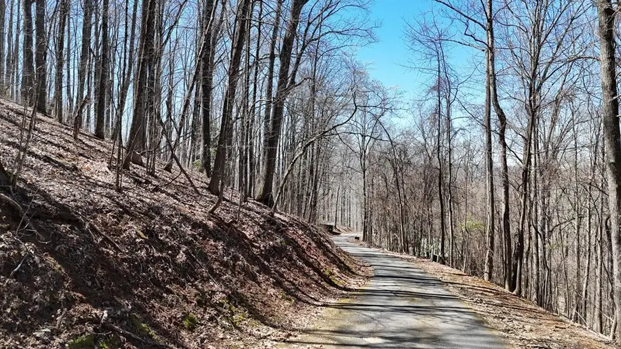 Lot 100 Timberline Acres, Young Harris, GA 30582 - #3