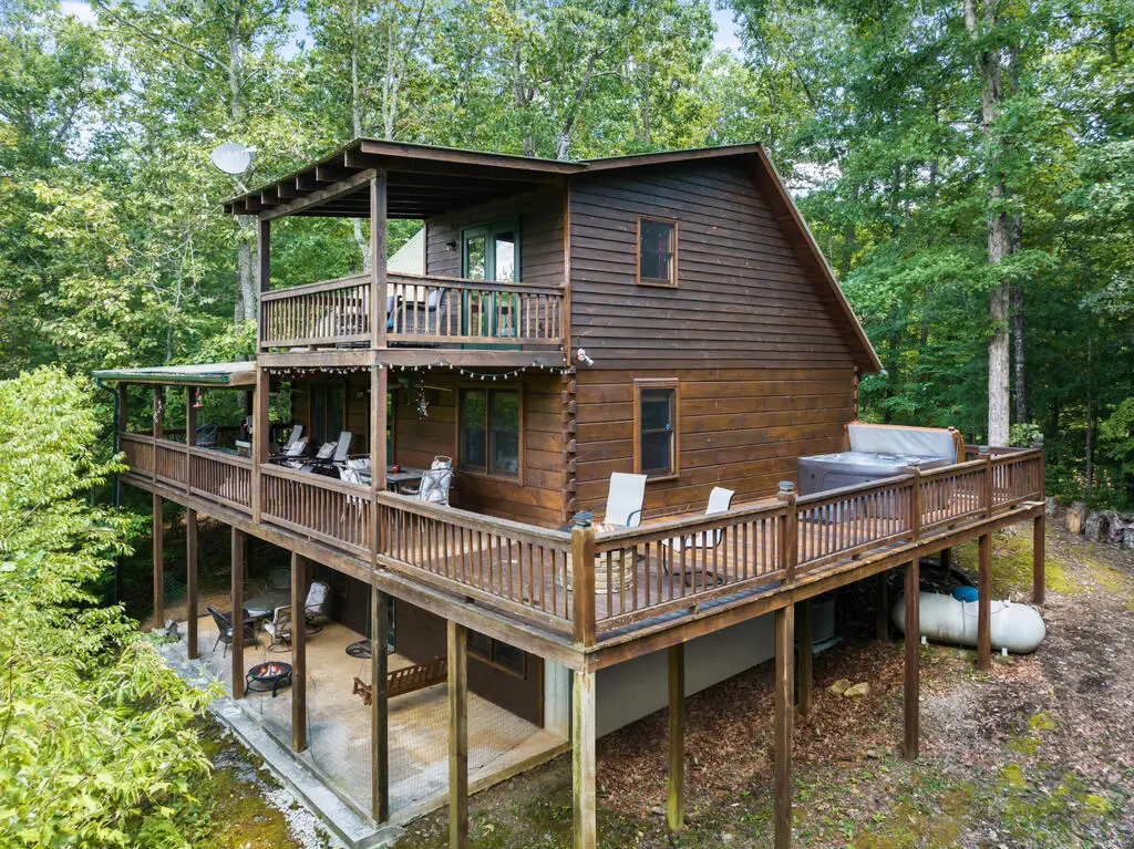 220 Lakota Lane, Mineral Bluff, GA 30559 - #1