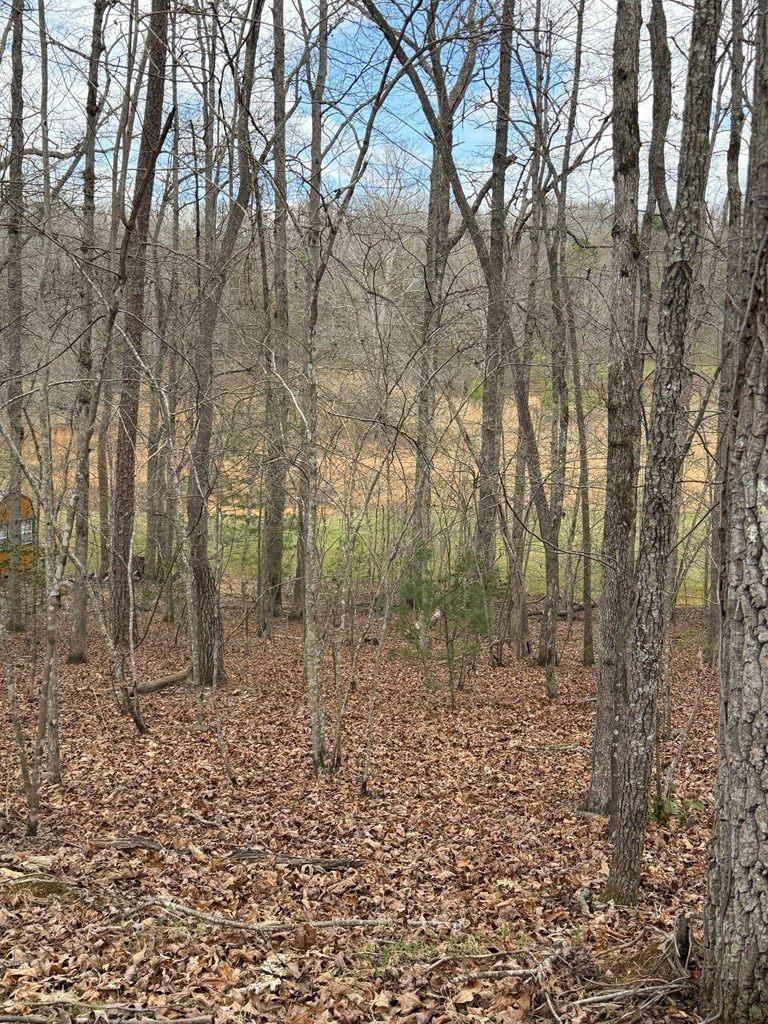 0 Country Lane, Murphy, NC 28906 - #3