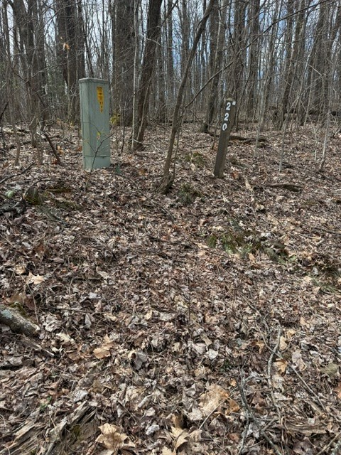 220 St Andrews Way, Jasper, GA 30143 - #2