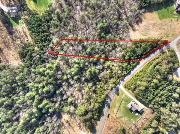 LOT 233 Ridge Pointe Way, Blairsville, GA 30512