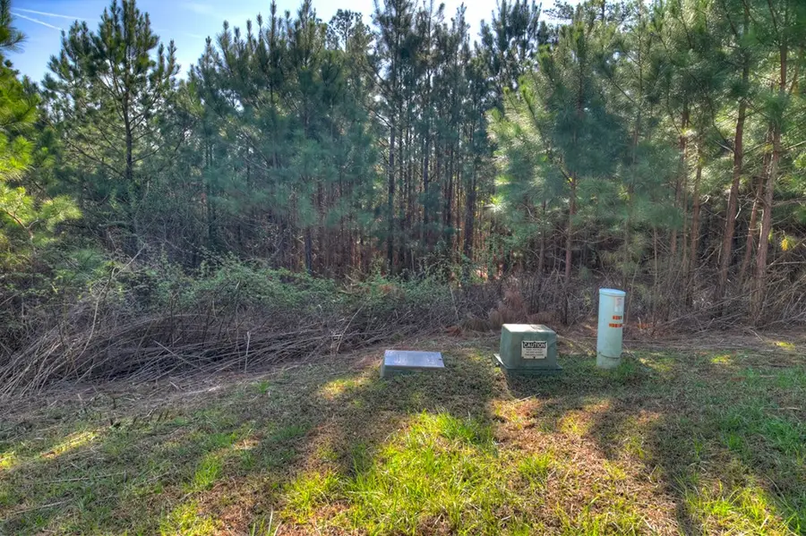 LOT 233 Ridge Pointe Way, Blairsville, GA 30512 - #3