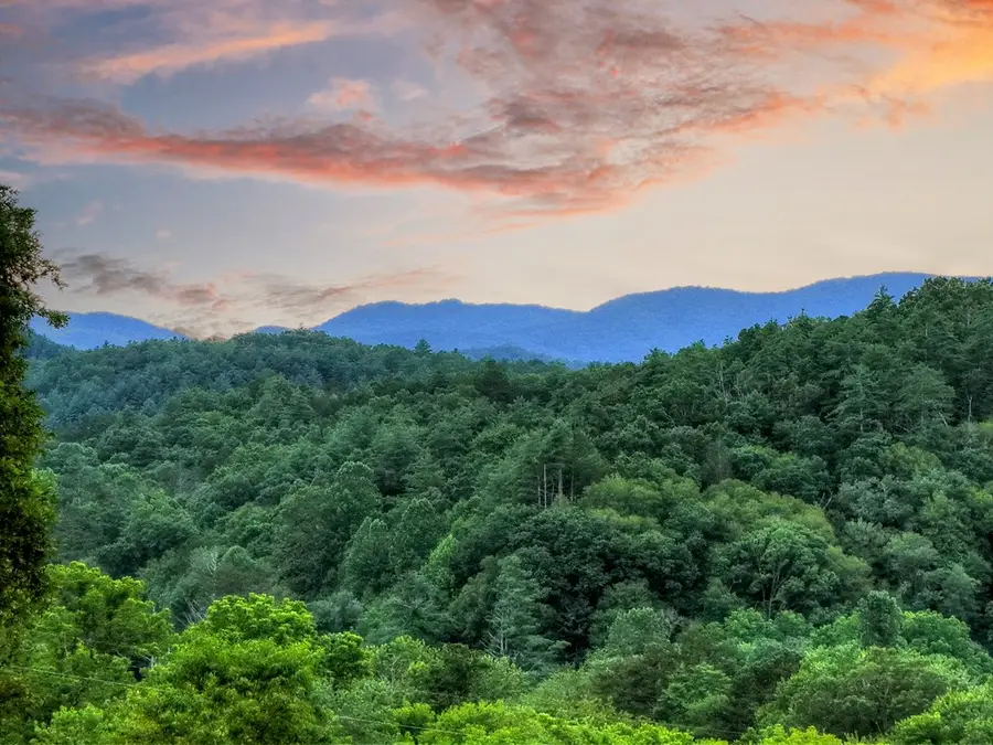 160 Mountain Field Drive, Suches, GA 30572 - #3