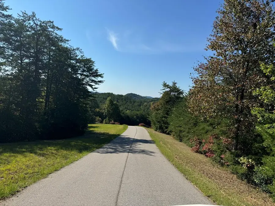 114 Blackhawk Lane, Turtletown, TN 37391 - #3