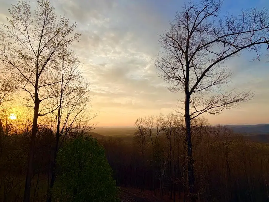 111 Trophy Buck Pointe, Murphy, NC 28906 - #3