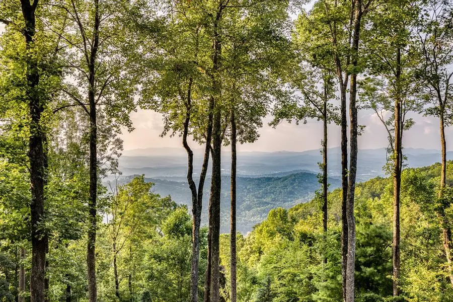 1447 Grandeur Drive, Blue Ridge, GA 30513 - #2