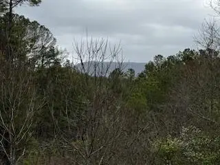 851 Stansbury Mountain Road, Copperhill, TN 37317