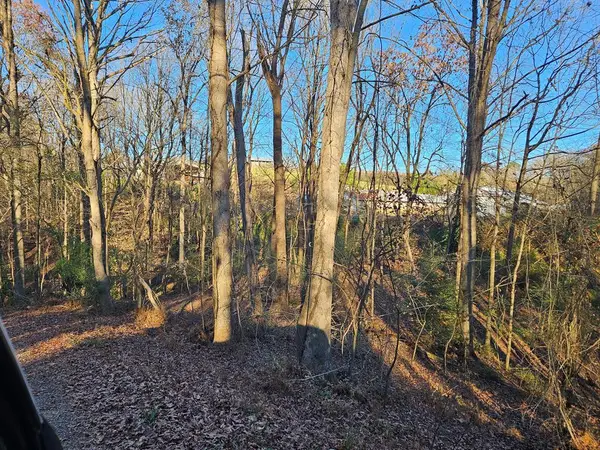 Lot 256 Elmwood Circle, Ellijay, GA 30540